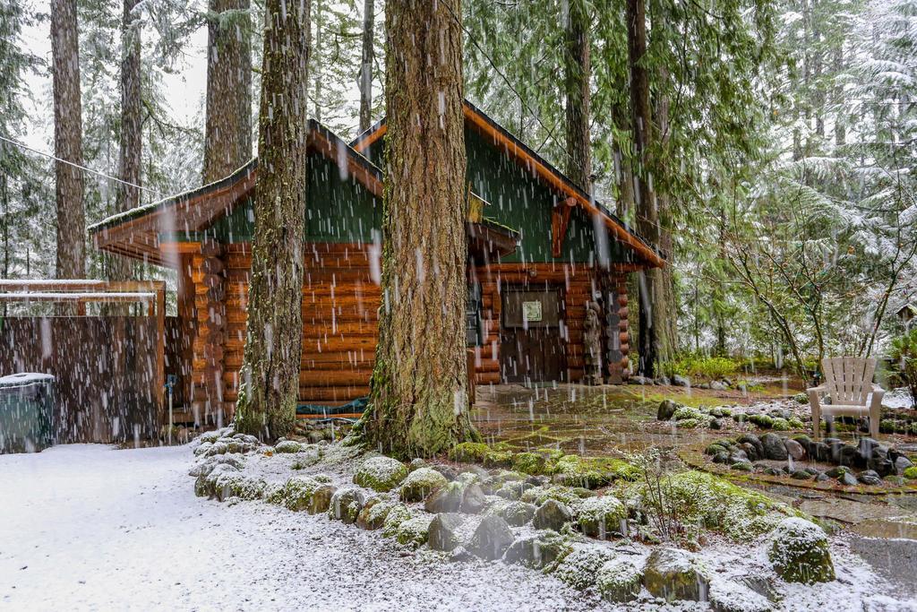 Zoe'S Log Cabin Welches Экстерьер фото
